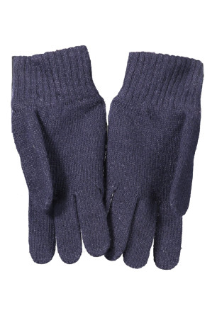 Gants bleus