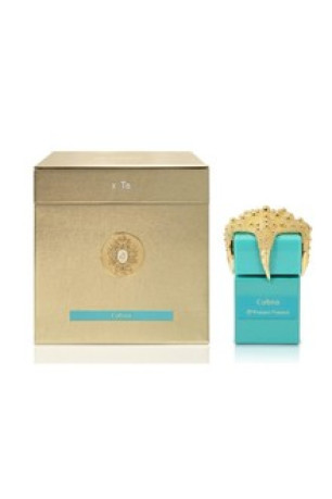 Cubia Extrait de parfum 100 ml Tiziana Terenzi
