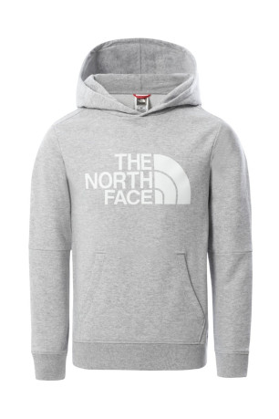 Hoodie intérieur molletonné The North Face