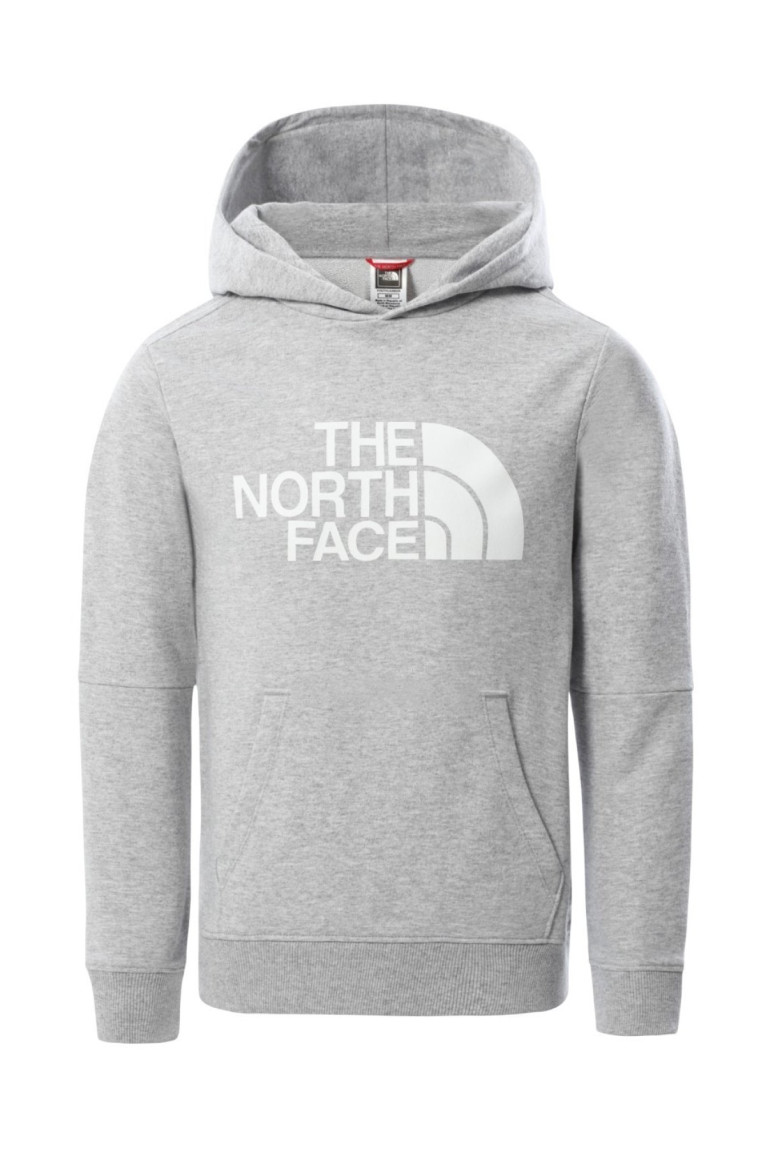 Hoodie intérieur molletonné The North Face