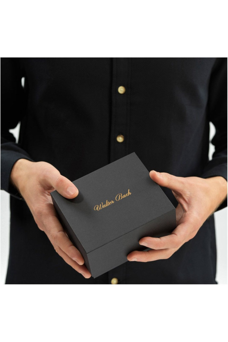Montre automatique - WALTER BACH - Black/Black/Black Walter bach