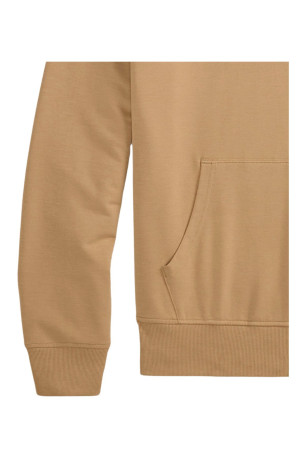 Sweat à capuche logo Vert Ralph lauren