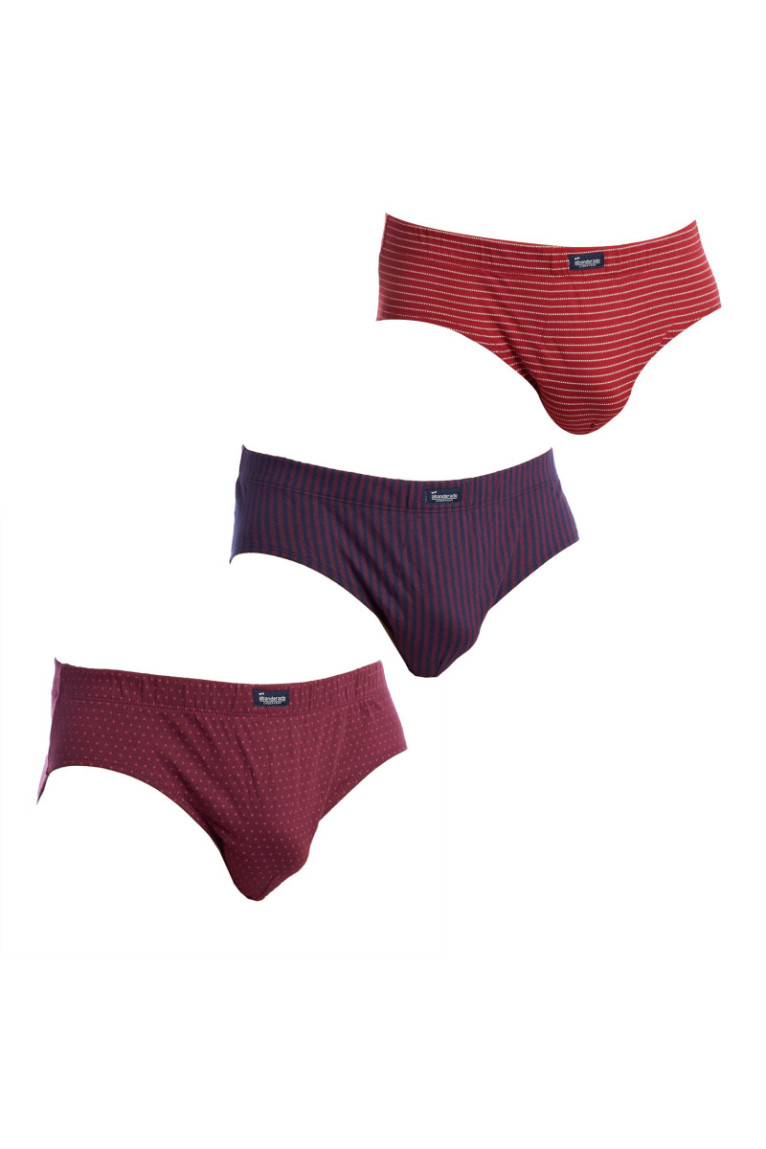 Pack de 3 Slips Homme Bordeaux