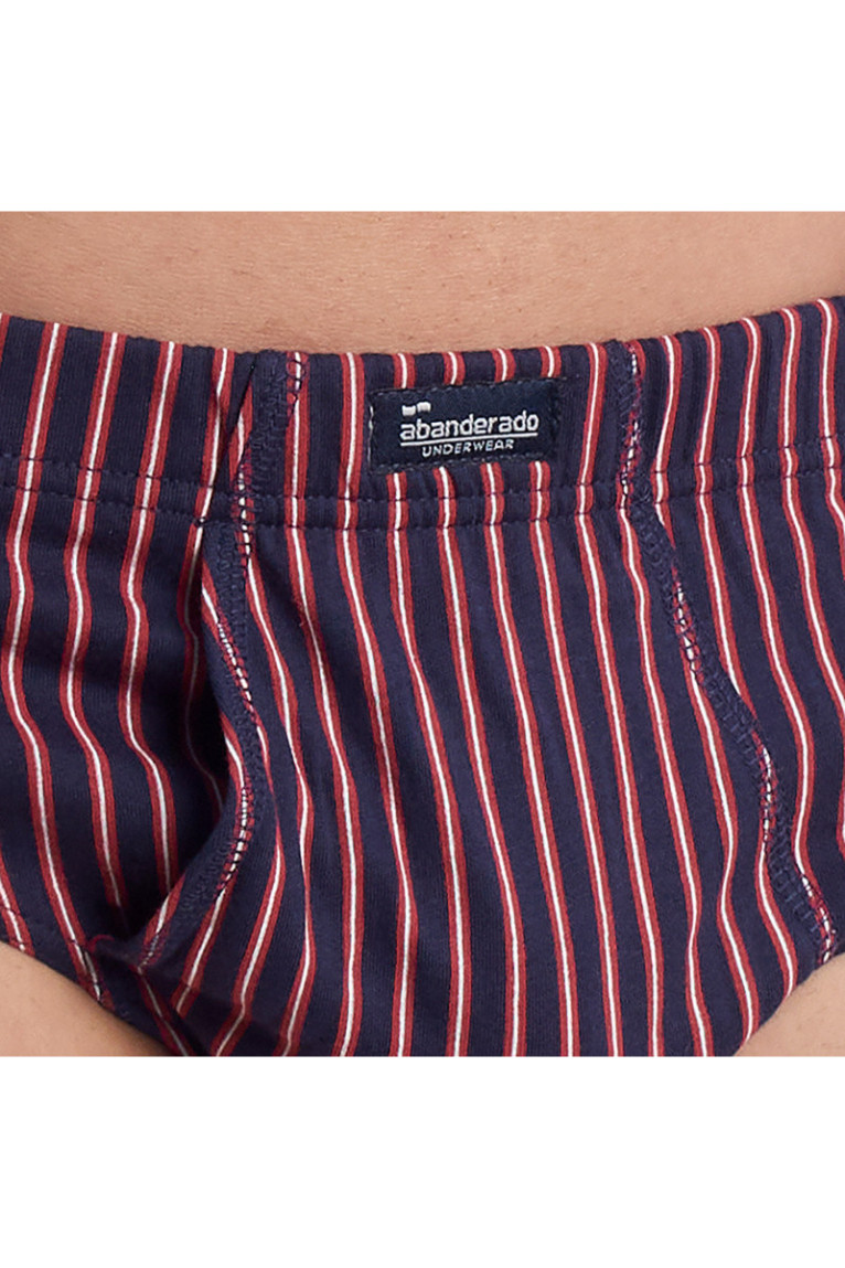 Lot de 3 Slips Imprimés avec Ouverture Homme Bleu et Bordeaux