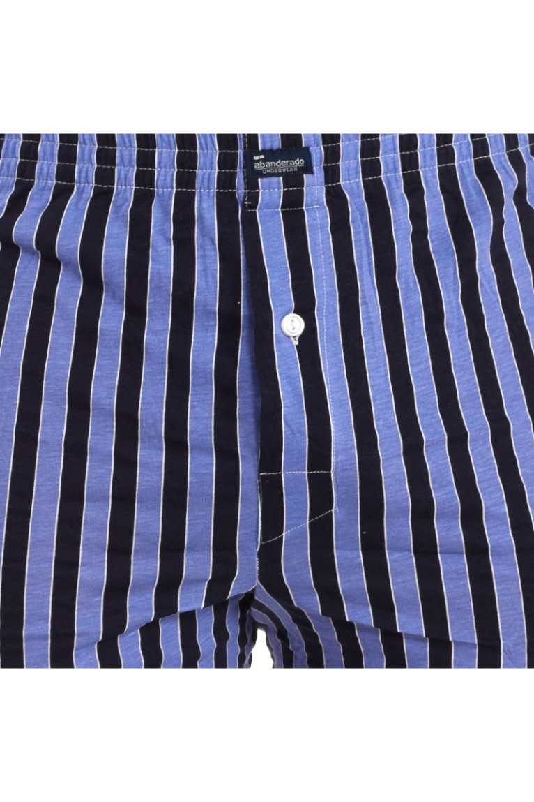 Pack de 2 Boxers en Coton Homme Bleu Rayé