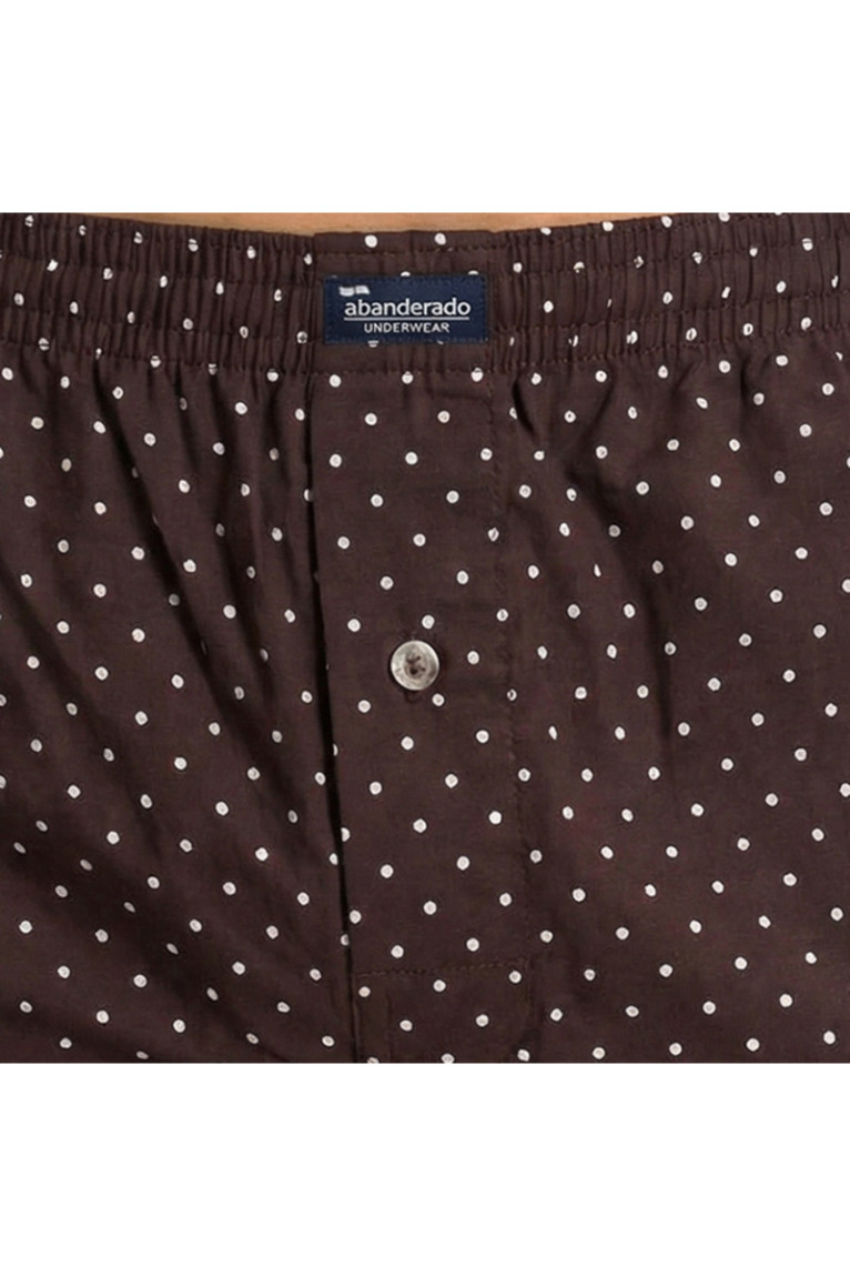 Lot de 2 Caleçons Homme en Coton Essentiel Marron et Bleu