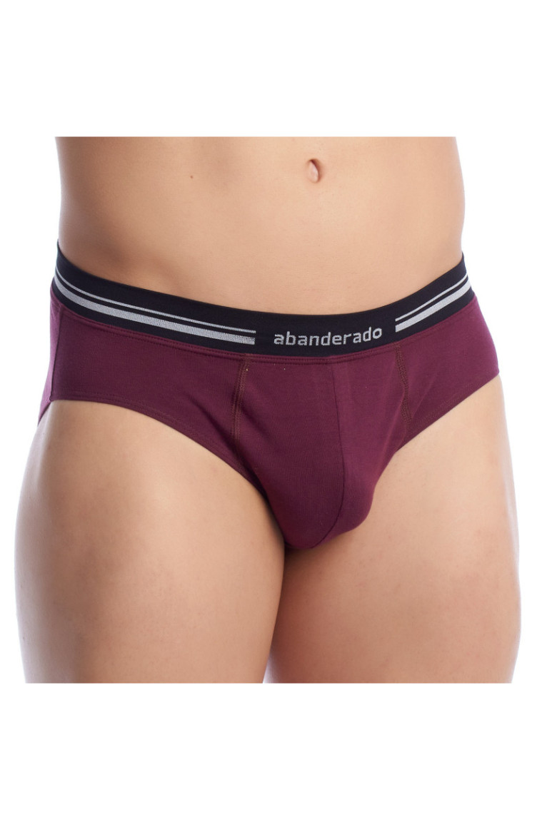 Slip Respirant Anatomique Homme Bordo