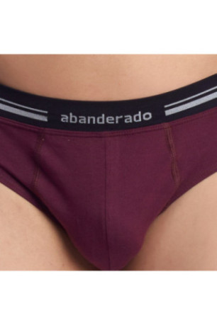 Slip Respirant Anatomique Homme Bordo
