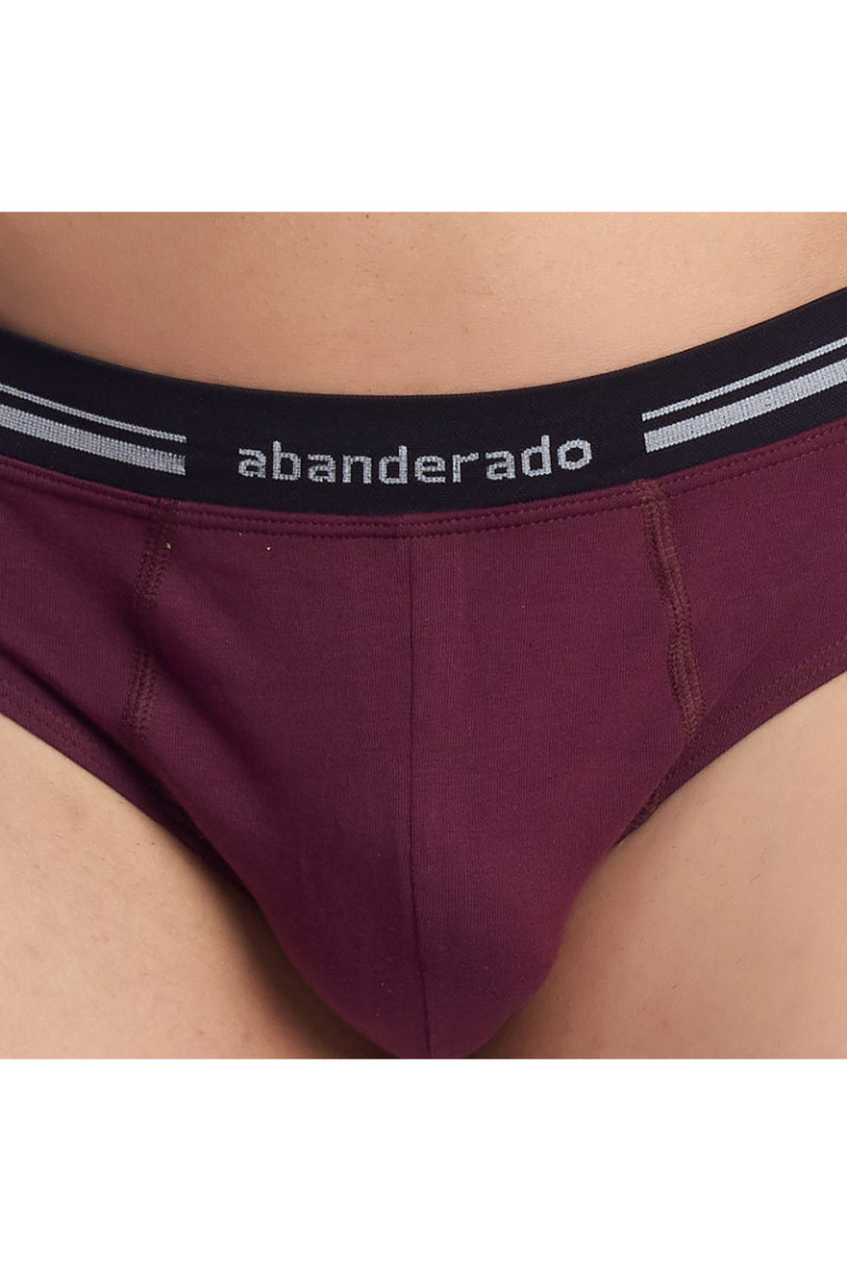 Slip Respirant Anatomique Homme Bordo