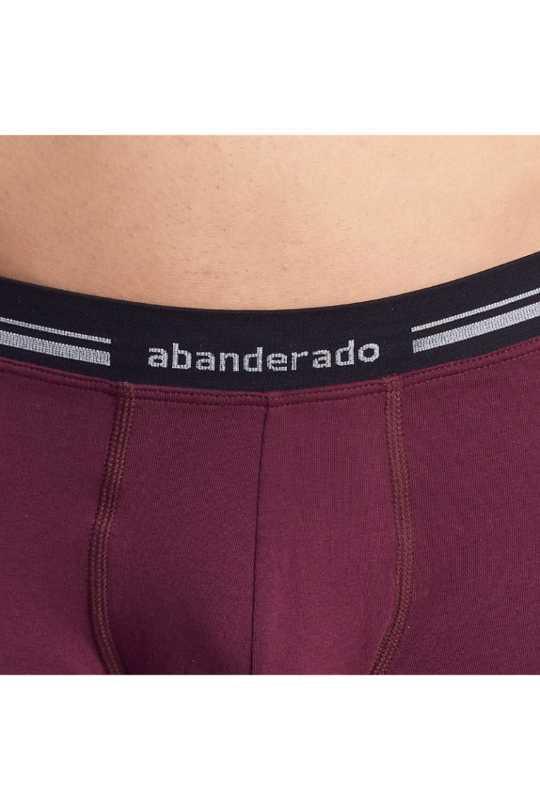 Boxer en coton stretch avec ceinture extra douce Homme Bordeaux