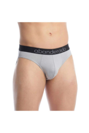 Pack de 2 Slips Sensitive Bamboo Homme Gris