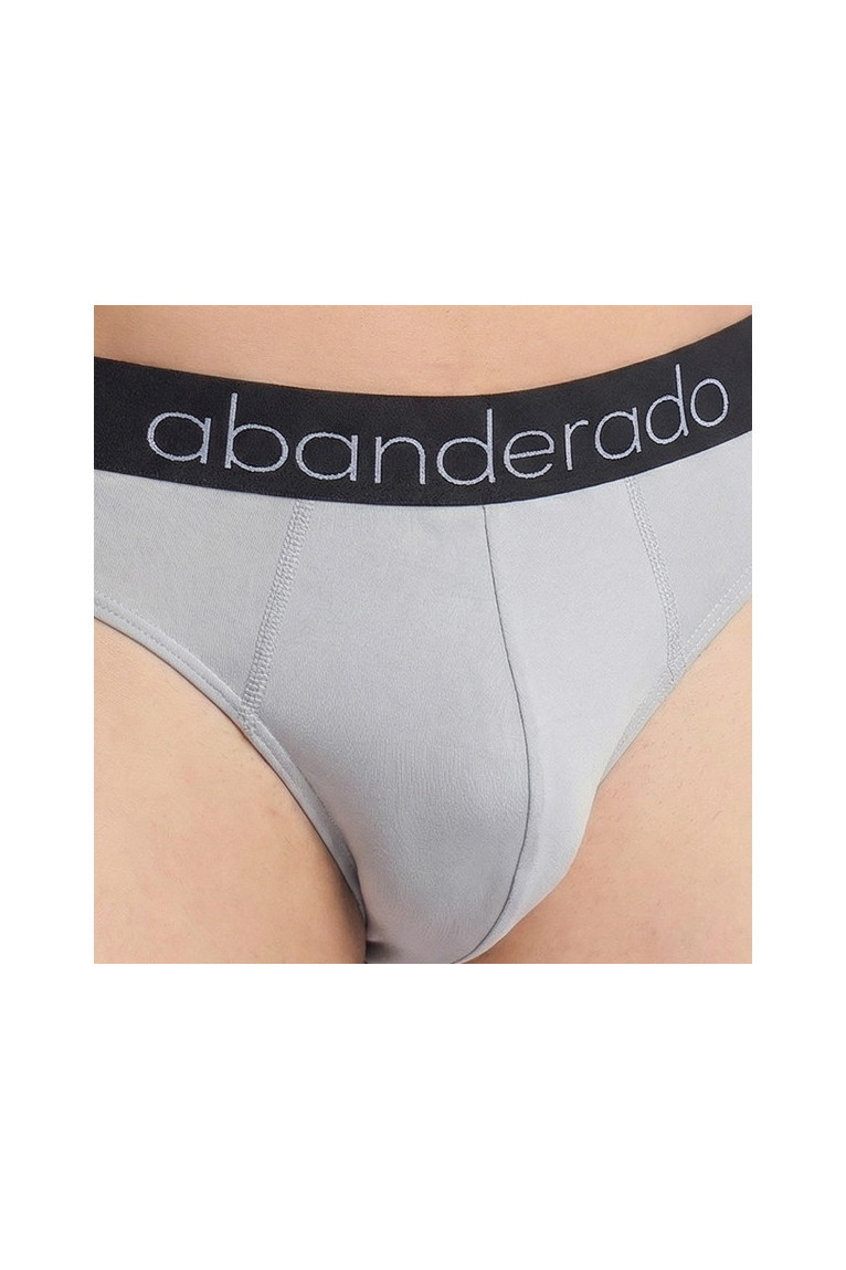 Pack de 2 Slips Sensitive Bamboo Homme Gris