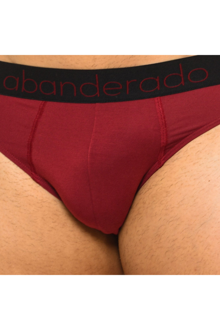 Slips Homme Bordeaux et Bleu Abanderado