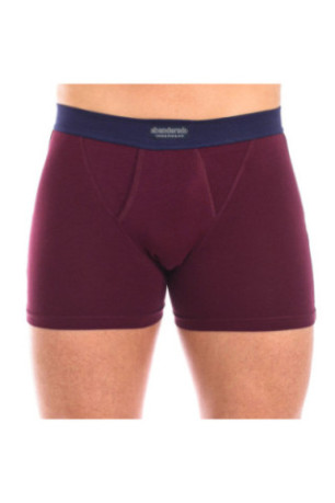 Boxers (Pack de 2) Homme Bleu et Grenat Abanderado