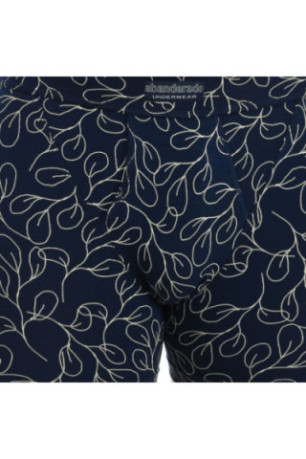 Boxers Homme Bleu Abanderado