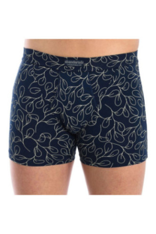 Boxers Homme Bleu Abanderado