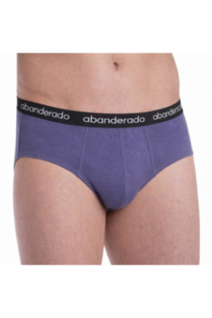 Lot de 2 Slips Homme Bleu Violet Abanderado