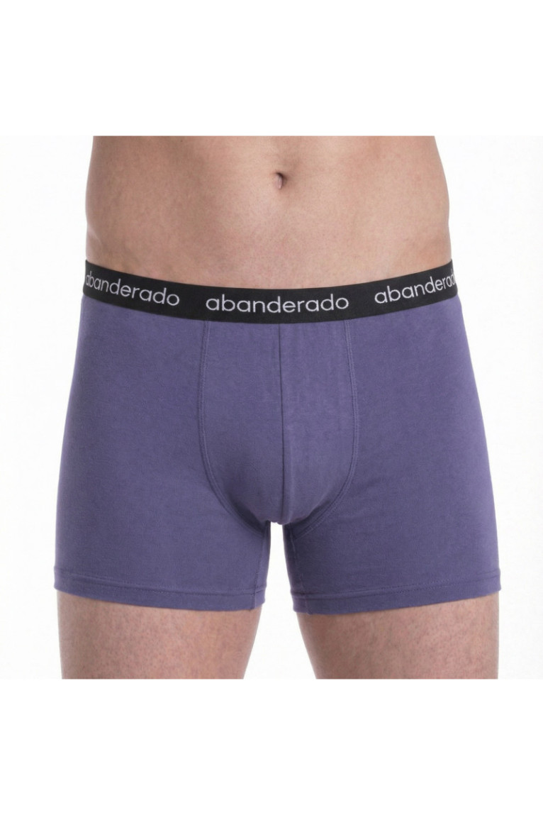 Boxers Homme Purple Blue Abanderado