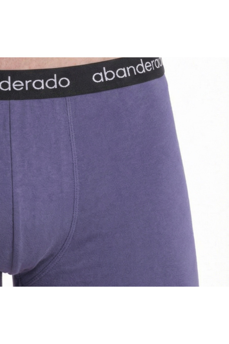 Boxers Homme Purple Blue Abanderado