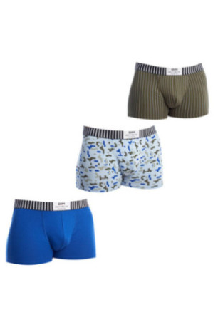 Boxer - Blue green