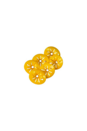 Lot de 6 pièges à guêpes Écologiques DIY pour Bouteille