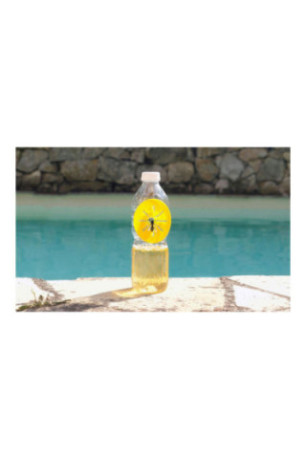 Lot de 6 pièges à guêpes Écologiques DIY pour Bouteille