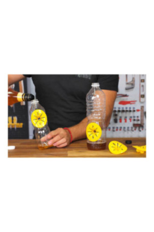 Lot de 6 pièges à guêpes Écologiques DIY pour Bouteille