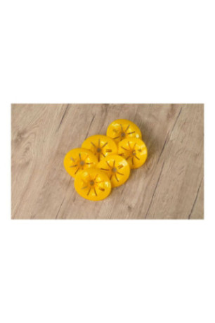 Lot de 6 pièges à guêpes Écologiques DIY pour Bouteille