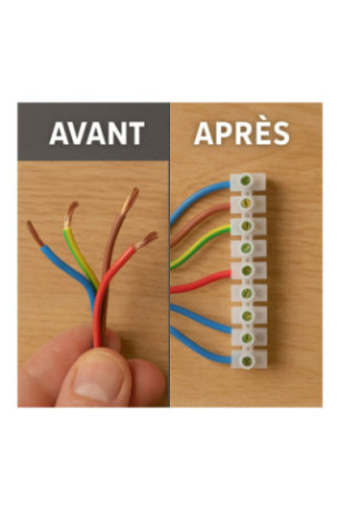 Barrette de 12 Dominos Électriques 6 mm - Raccordement Fils 380V 6A