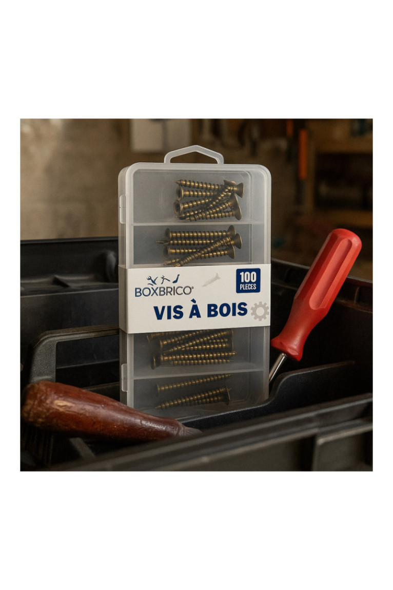 Lot de 100 Vis à Bois - 5 Tailles