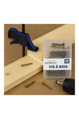 Lot de 100 Vis à Bois - 5 Tailles