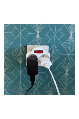 Biplite 2 Prises avec Interrupteur Intégré - 2x16A - 230V