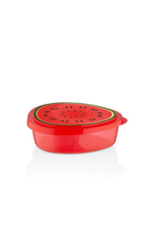 Boîte de conservation (6 pièces) - Rouge Vert