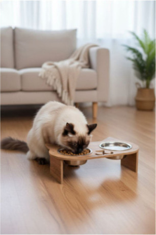 Gamelle pour animaux - Multicolore