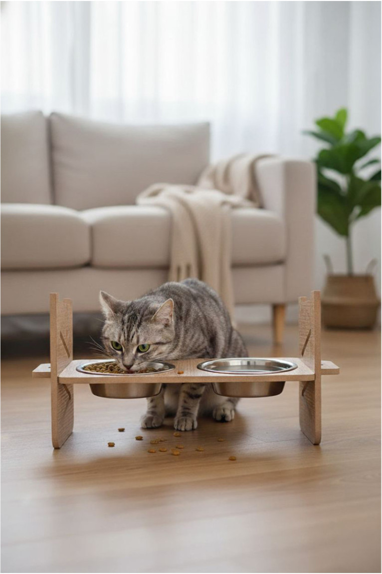 Gamelle pour animaux - Multicolore