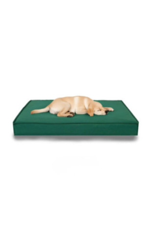 Lit pour animaux - Vert