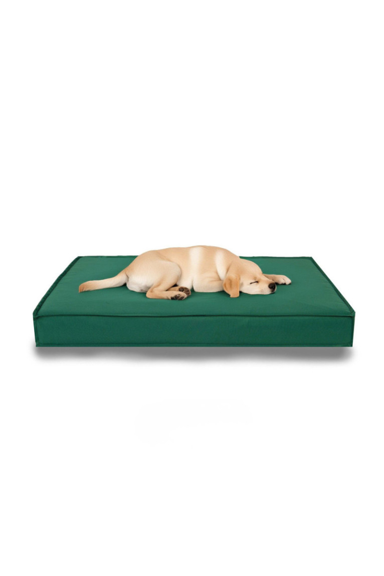 Lit pour animaux - Vert