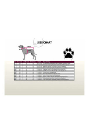 Robe pour chien - Rouge Blanc