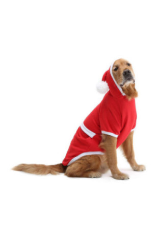 Sweat à capuche pour chien - Rouge
