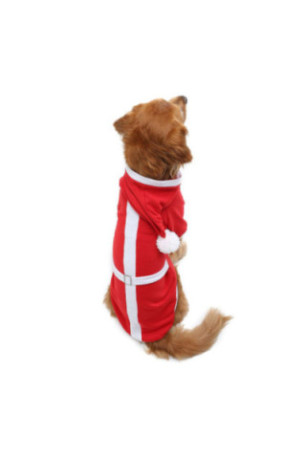 Sweat à capuche pour chien - Rouge