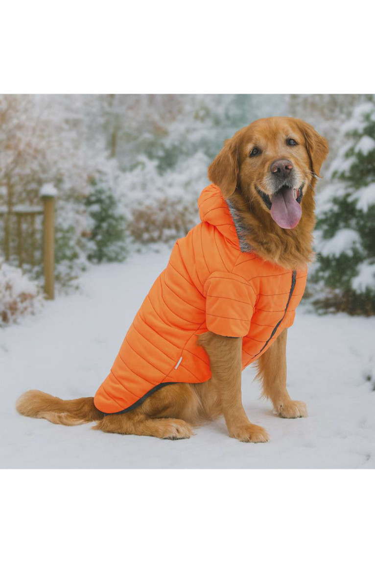 Sweat à capuche pour chien - Orange