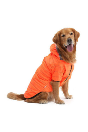 Sweat à capuche pour chien - Orange