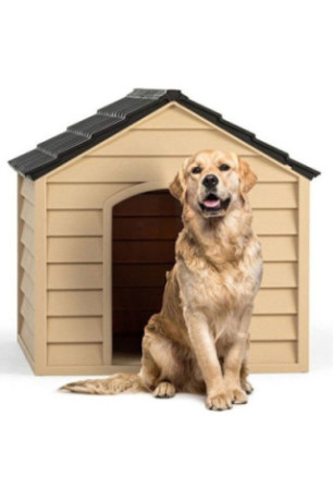 Maison pour animaux - Champagne amer