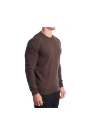 Pullover - US POLO ASSN - Brown