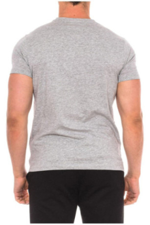 T-shirt MC - US POLO ASSN - Gray