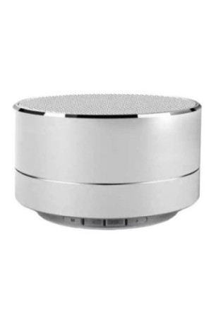 Reekin Marlin Haut-parleur Bluetooth avec kit main-libre - Silver
