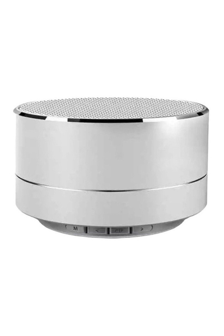 Reekin Marlin Haut-parleur Bluetooth avec kit main-libre - Silver