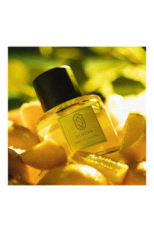 Parfum - Path of Lemons - 100 mL