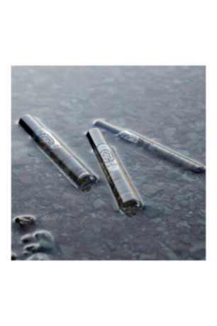 Discovery Gift Muse Collection (3pcs): Rán + Rose Taif + Monde à part Sentier