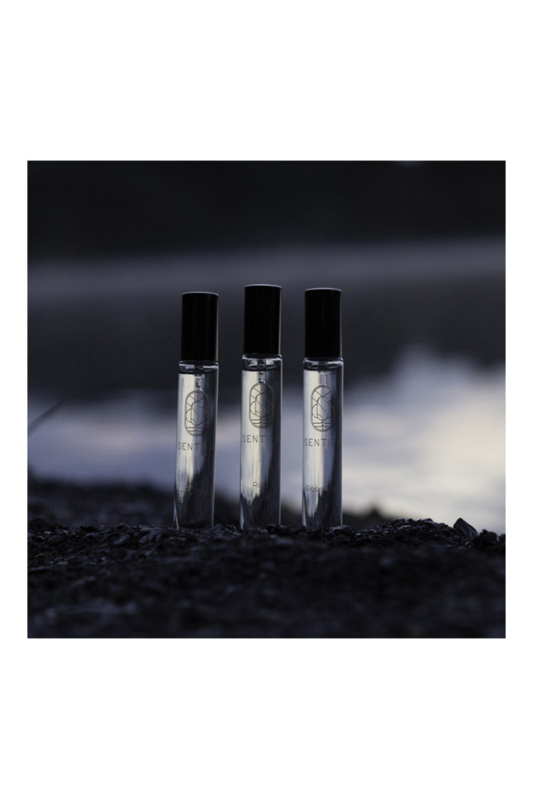 Discovery Gift Muse Collection (3pcs): Rán + Rose Taif + Monde à part Sentier